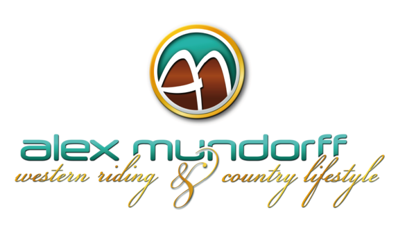 $data['details']['name']