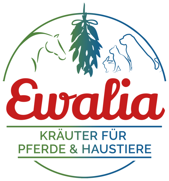 $data['details']['name']