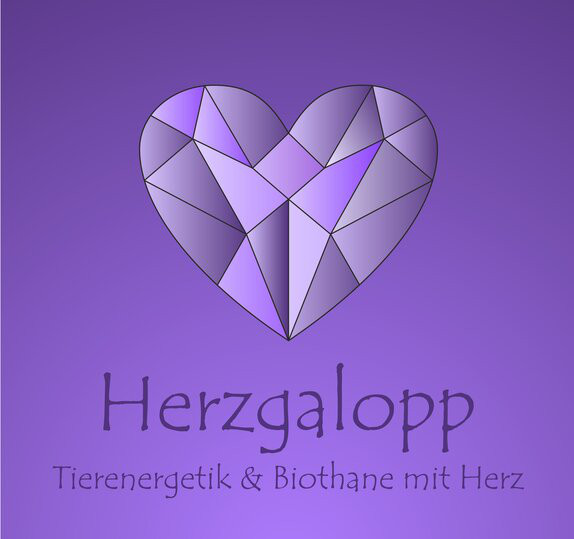 $data['details']['name']