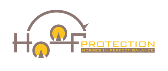 $data['details']['name']