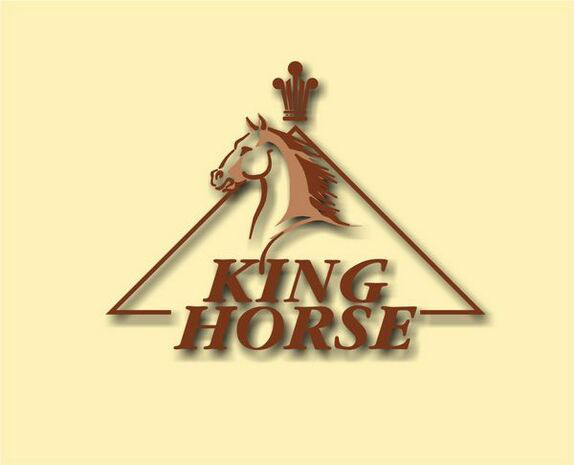 $data['details']['name']