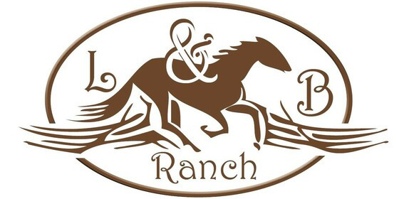 $data['details']['name']