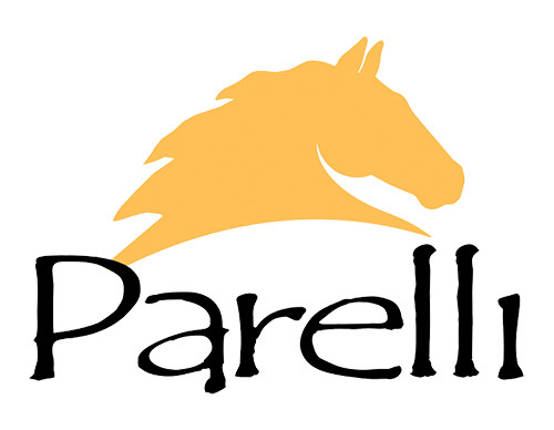 $data['details']['name']