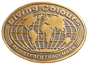 $data['details']['name']