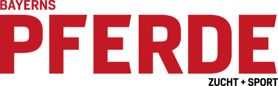 $data['details']['name']