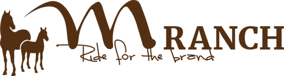 $data['details']['name']