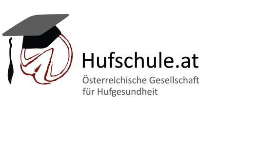 $data['details']['name']