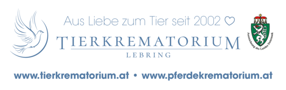 $data['details']['name']