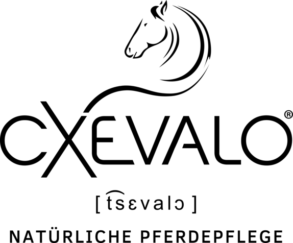 $data['details']['name']