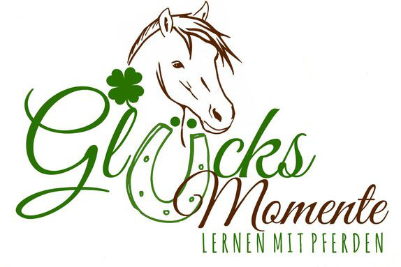 $data['details']['name']