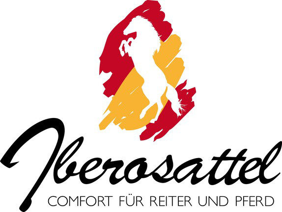 $data['details']['name']