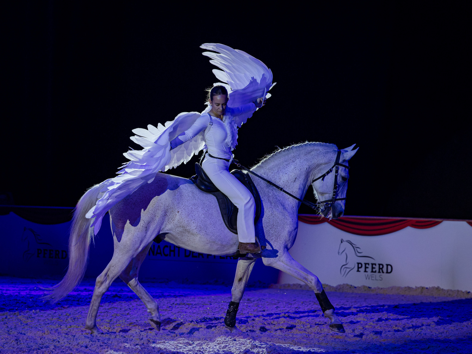 NACHT DER PFERDE - It's magic!