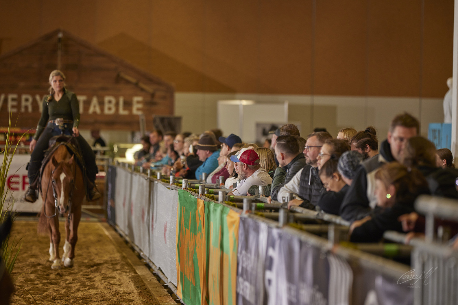 PREMIERE: BLMM Western auf der PFERD Wels