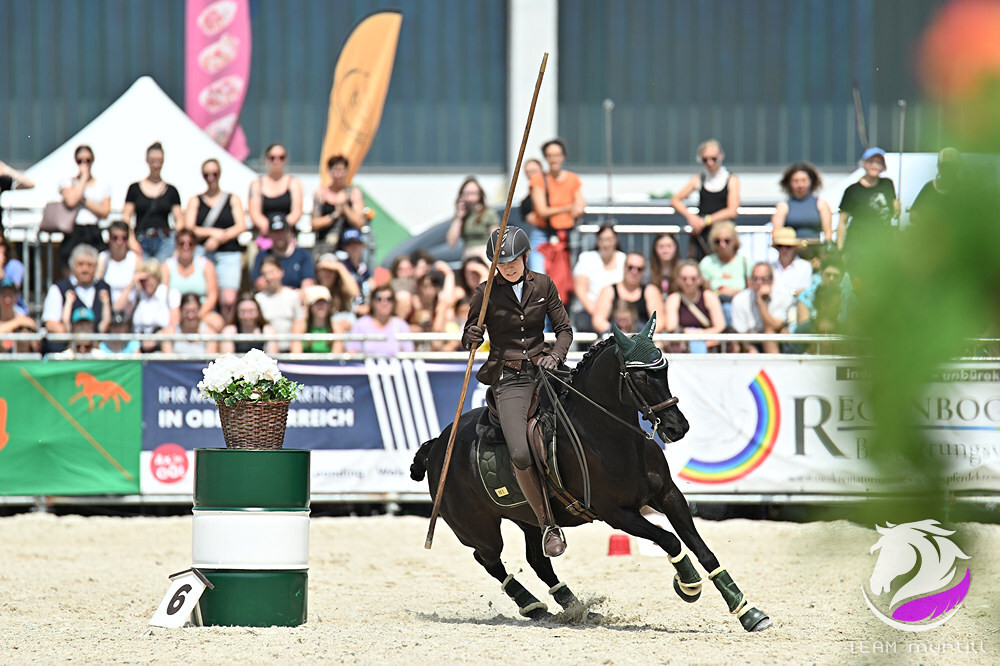 Working Equitation Turnier