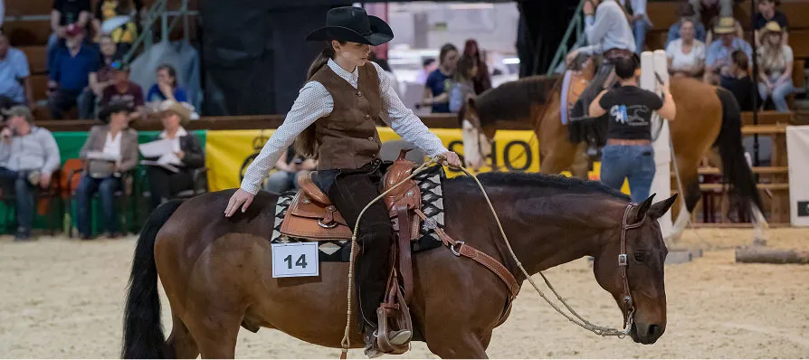Westerntown - Western Horse Show Wels
