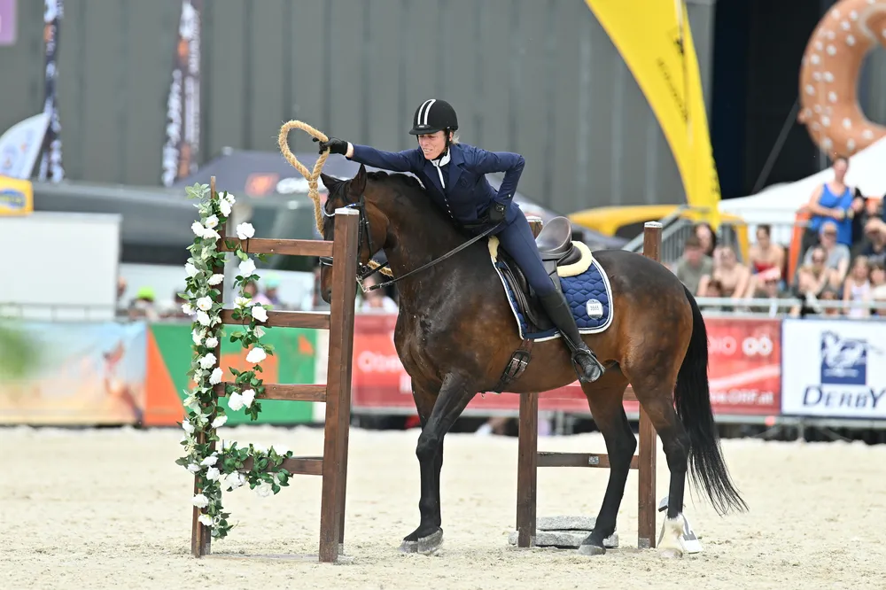 Working Equitation Turnier