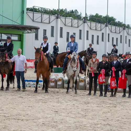 PFERD25_Working Equitation_Quelle Lukas Ennsmann (3).jpeg
