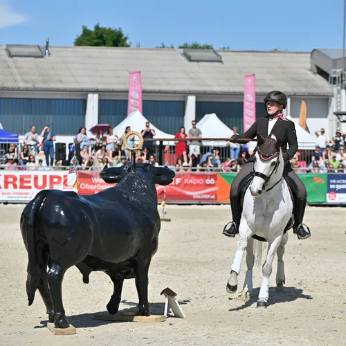 PFERD25_Working Equitation_Quelle TEAM Myrtill (1).JPG