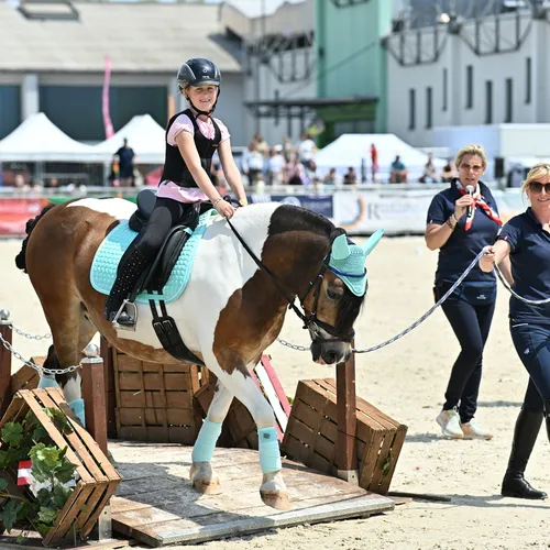 PFERD25_Working Equitation_Quelle TEAM Myrtill (3).JPG