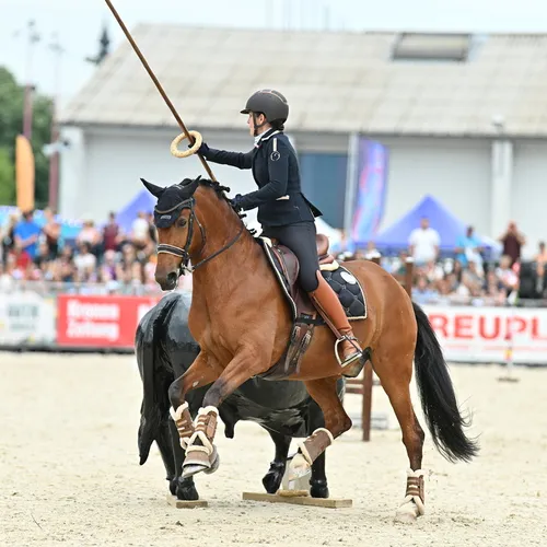 PFERD25_Working Equitation_Quelle TEAM Myrtill (6).JPG