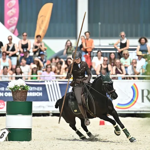 PFERD25_Working Equitation_Quelle TEAM Myrtill (5).JPG