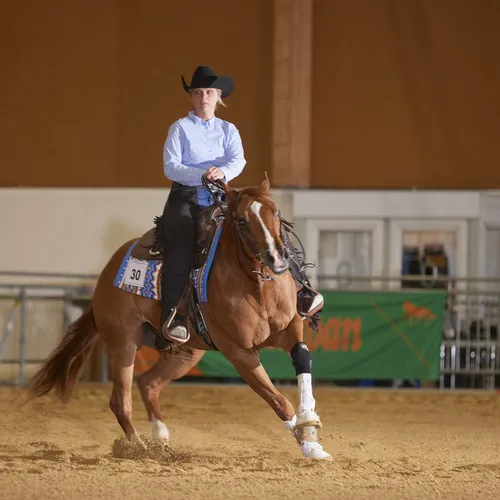 PFERD25_Western_REINING_Bildquelle connymphotography (1).jpg