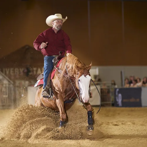 PFERD25_Western_REINING_Bildquelle connymphotography (3).jpg