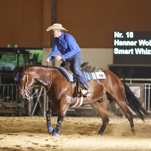 PFERD25_Western_REINING_Bildquelle connymphotography (4).jpg