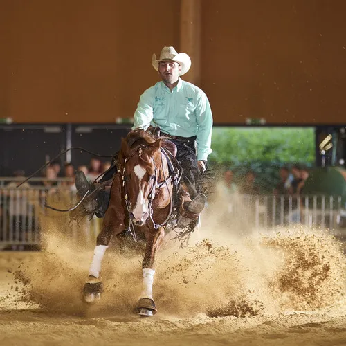 PFERD25_Western_REINING_Bildquelle connymphotography (5).jpg