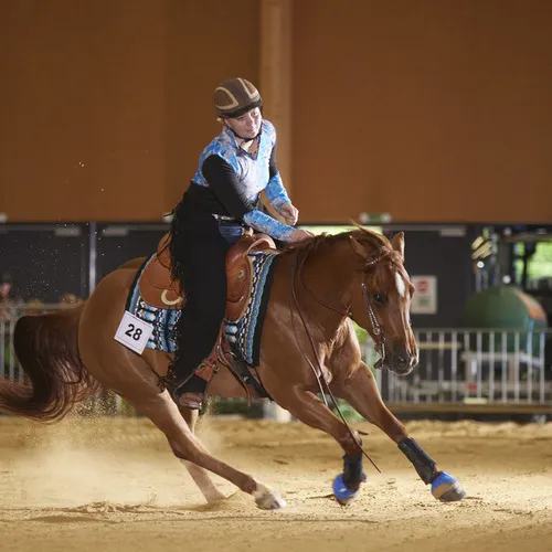 PFERD25_Western_REINING_Bildquelle connymphotography (6).jpg