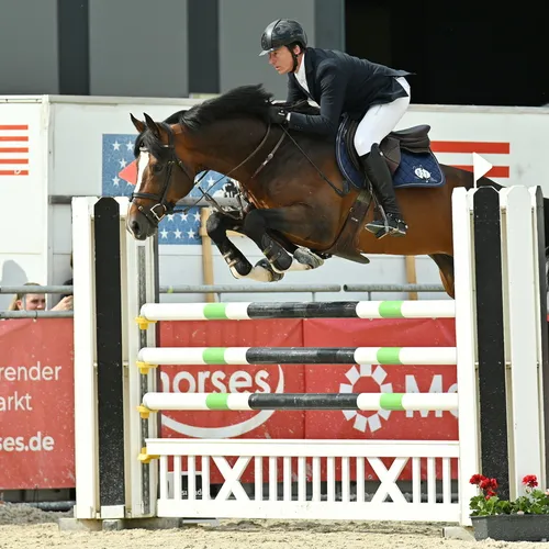 PFERD25_CSNA_1-3_kohrock_soenke_GER_Que TEAM myrtill.JPG