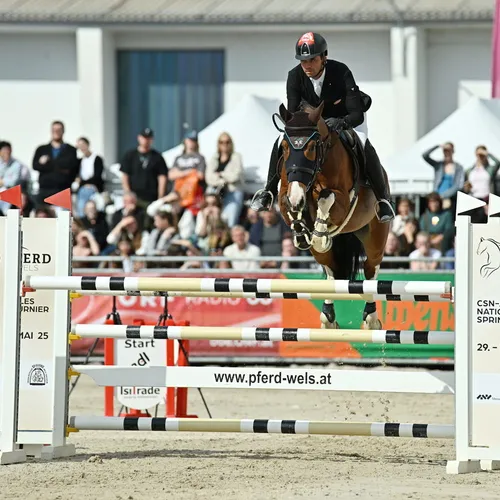 PFERD25_CSNA_2_englbrecht_peter_Que TEAM myrtill.JPG