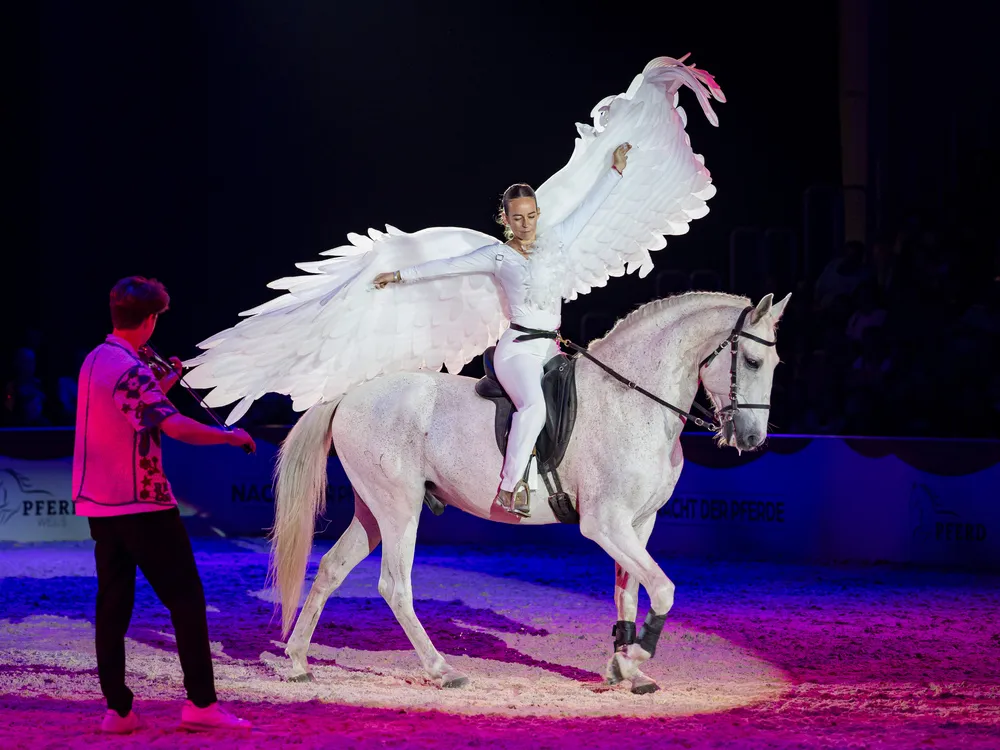 Nacht der Pferde - It's magic! 2025