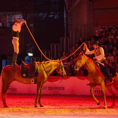 Aktivstall Aichbuehl (c) Michael Graf (1).jpg