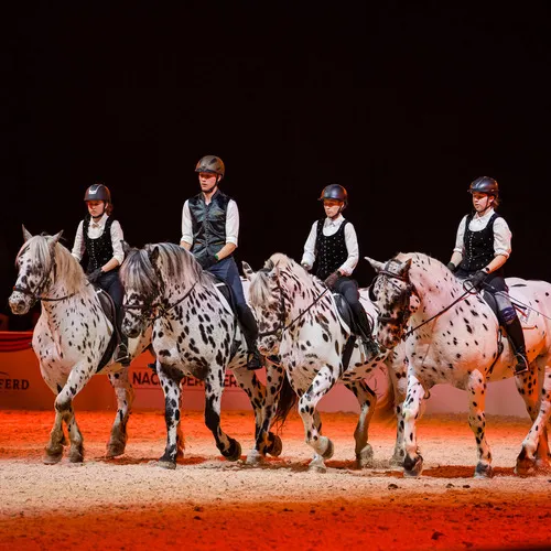 ABZ Lambach (c) Michael Graf (4).jpg