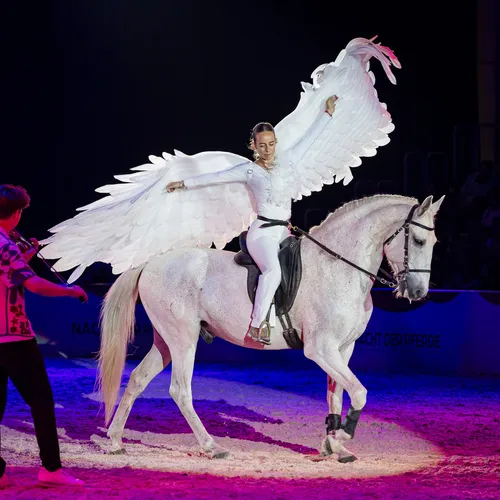 Caval Show La Paloma (c) Michael Graf (2).jpg