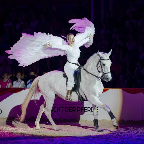 Caval Show La Paloma (c) Michael Graf (4).jpg