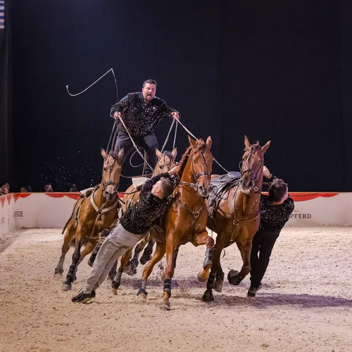 CAVAL SHOW Poste Hongroise (c) Michael Graf (1).jpg