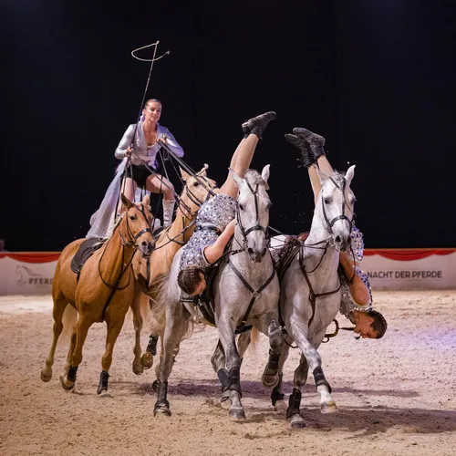 CAVAL SHOW Poste Hongroise (c) Michael Graf (4).jpg