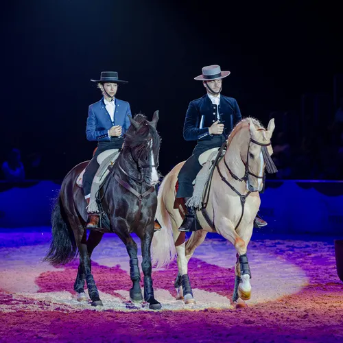 Dysli-Tisseur (c) Michael Graf (3).jpg