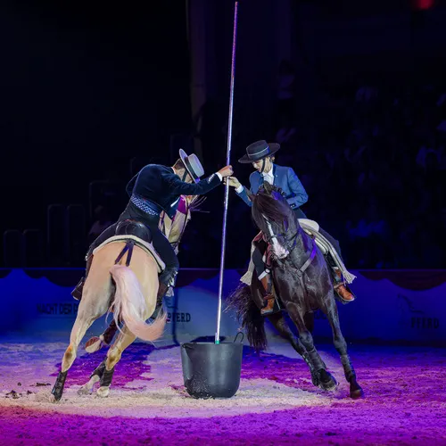 Dysli-Tisseur (c) Michael Graf (4).jpg