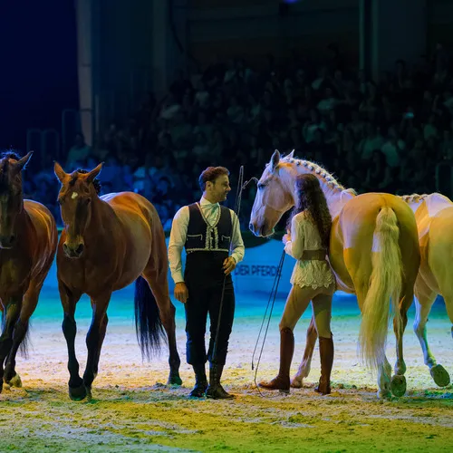 Dysli-Tisseur (c) Michael Graf (2).jpg