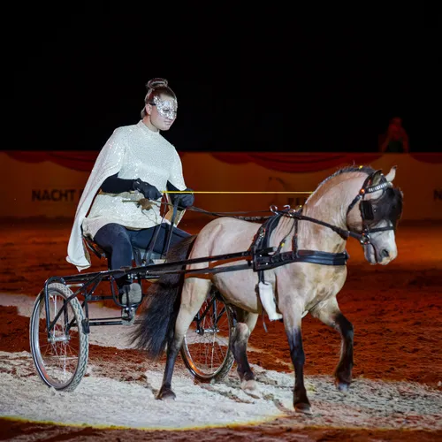 Fohlenhof Farbenfroh (c) Michael Graf.jpg