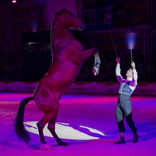 Laury Tisseur Michael Graf (2).jpg