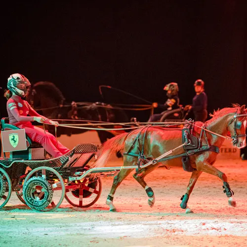 Schloegelhofer Junioren (c) Michael Graf (1).jpg