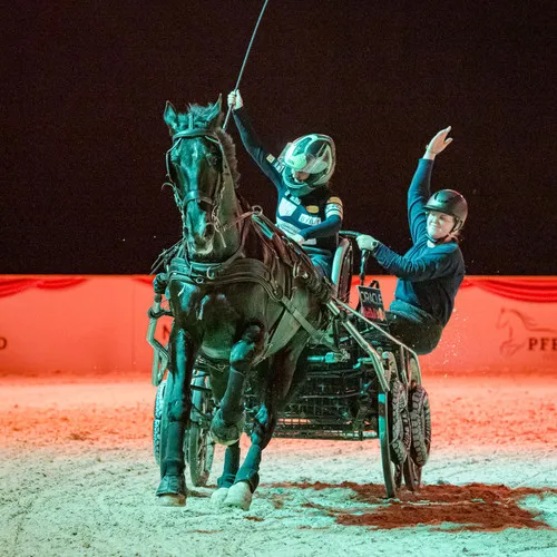 Schloegelhofer Junioren (c) Michael Graf (4).jpg