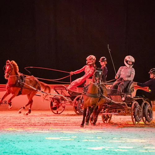 Schloegelhofer Junioren (c) Michael Graf (3).jpg