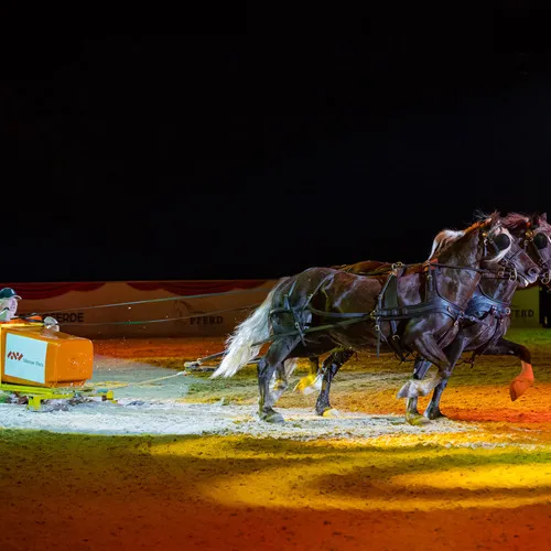 Team Goetz (c) Michael Graf.jpg