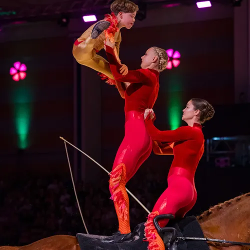 Voltigierverein Ingelsberg (c) Michael Graf (1).jpg