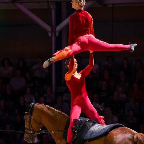 Voltigierverein Ingelsberg (c) Michael Graf (2).jpg